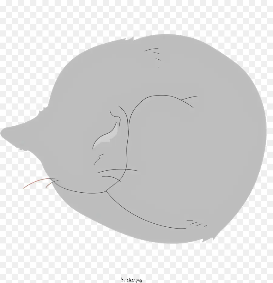 Gato Dormindo，Gray Cat PNG