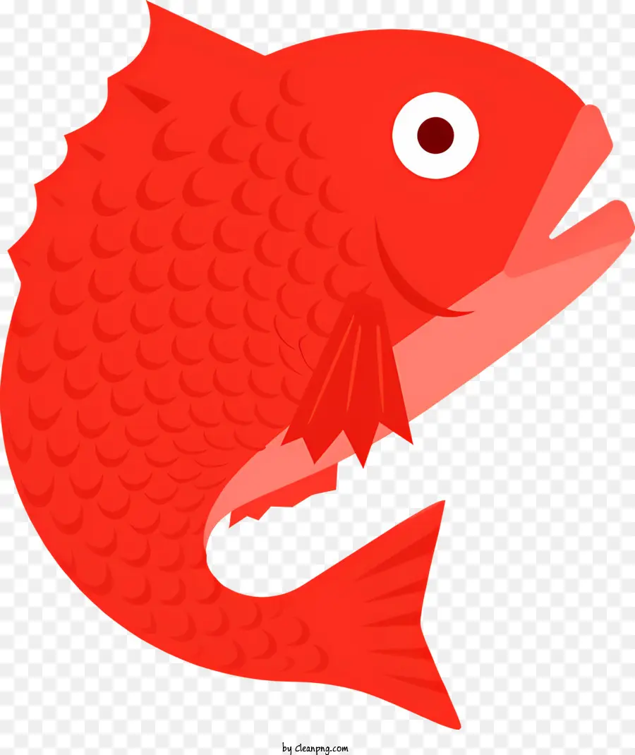 Peixe Vermelho，Boca Aberta PNG