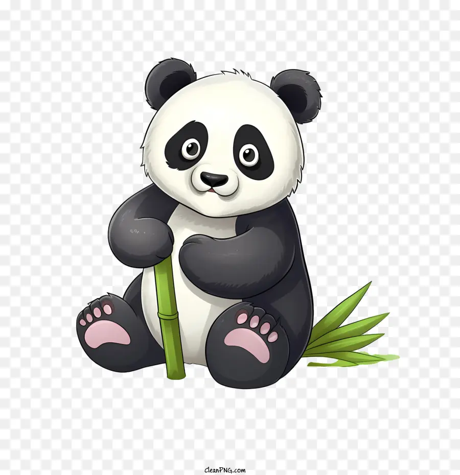 Panda Bonito，Panda PNG