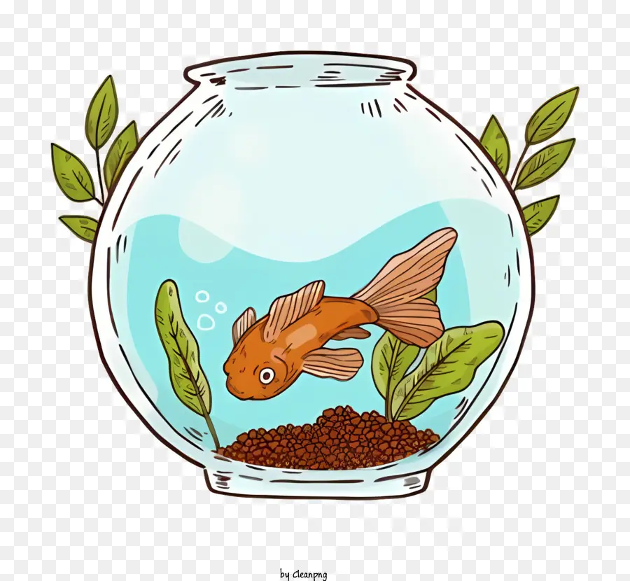 Fish Bowl，Peixinho PNG