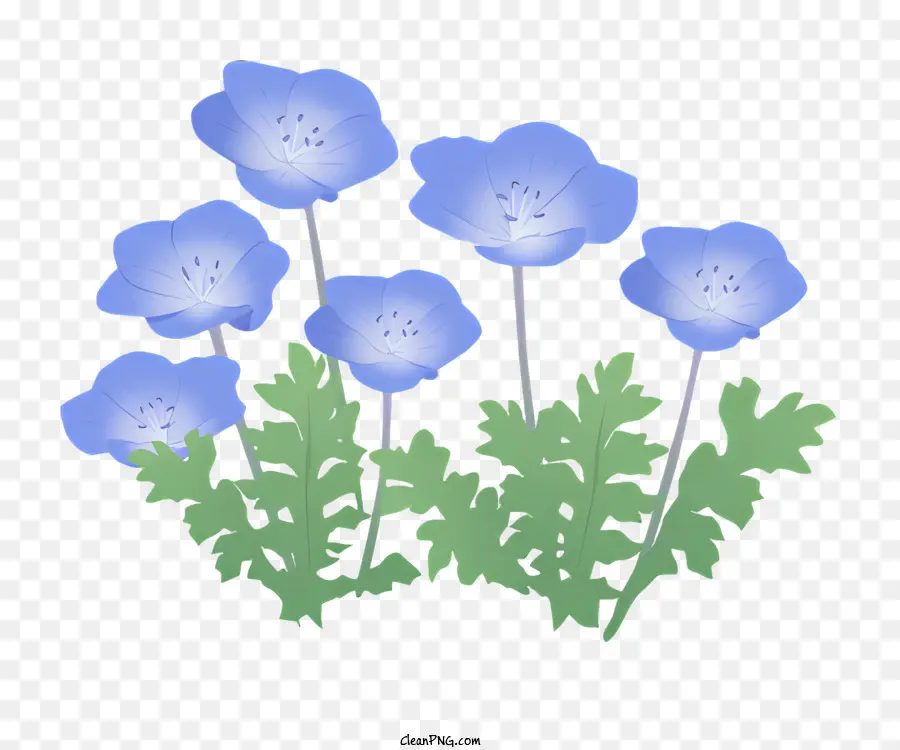 Pequenas Flores Azuis，Centros Brancos PNG
