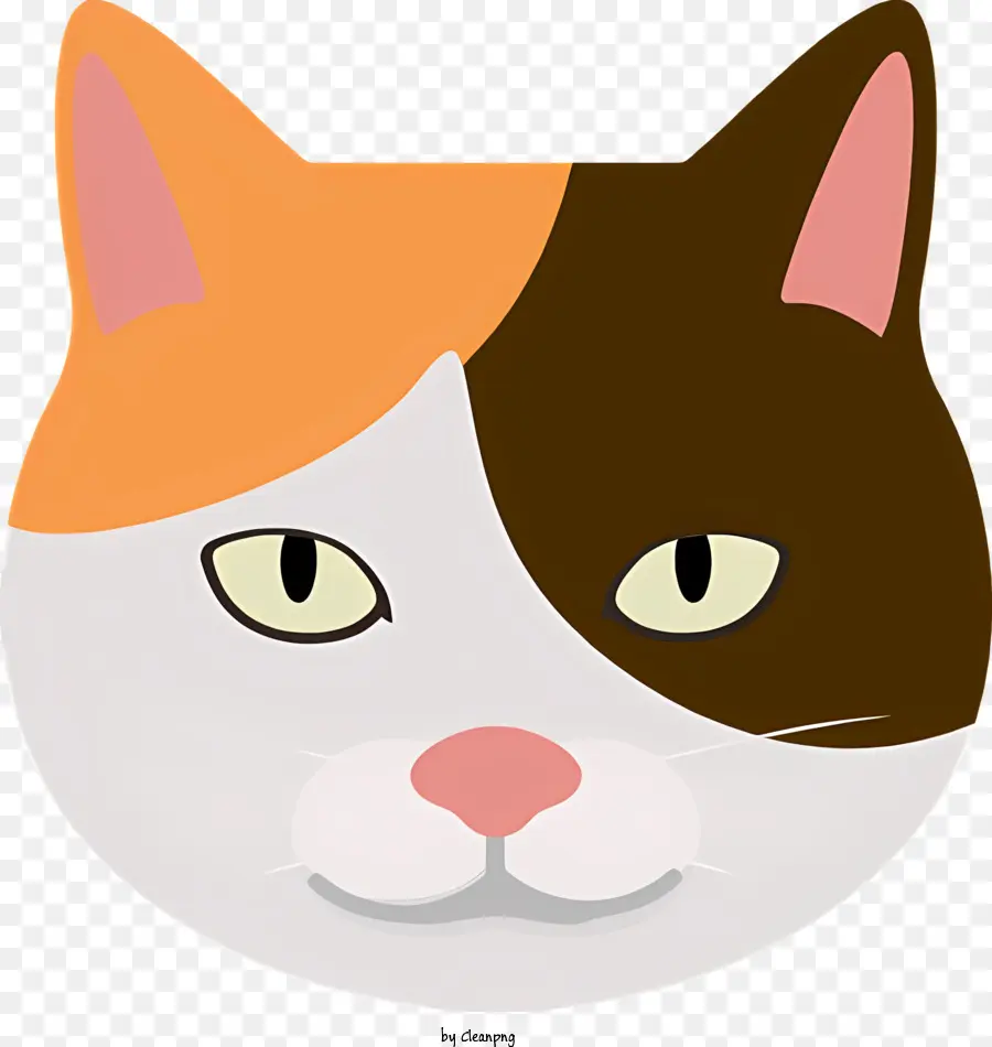 Cara De Gato，Gato Chita PNG