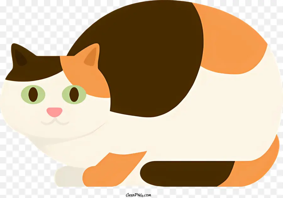 Gato，Sentado PNG