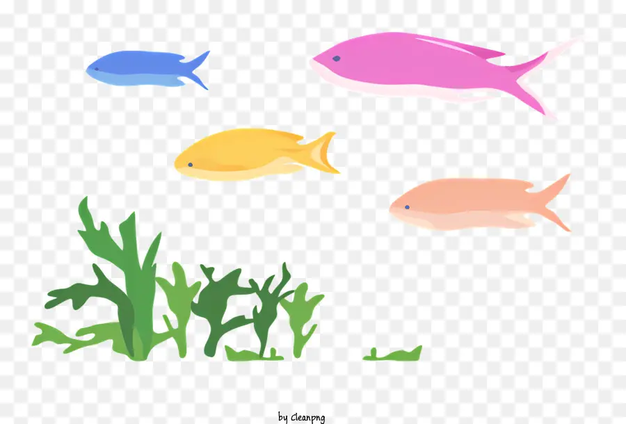 Peixe，Peixes Coloridos PNG