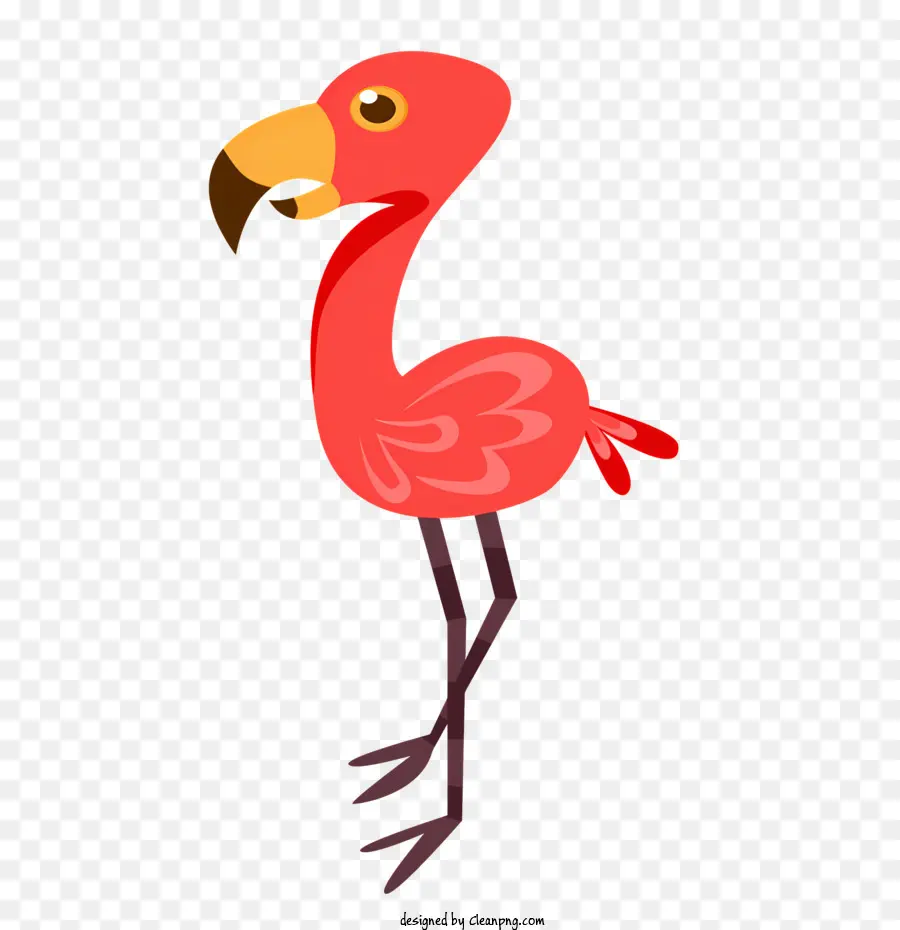 Flamingo，Vermelho Flamingo PNG