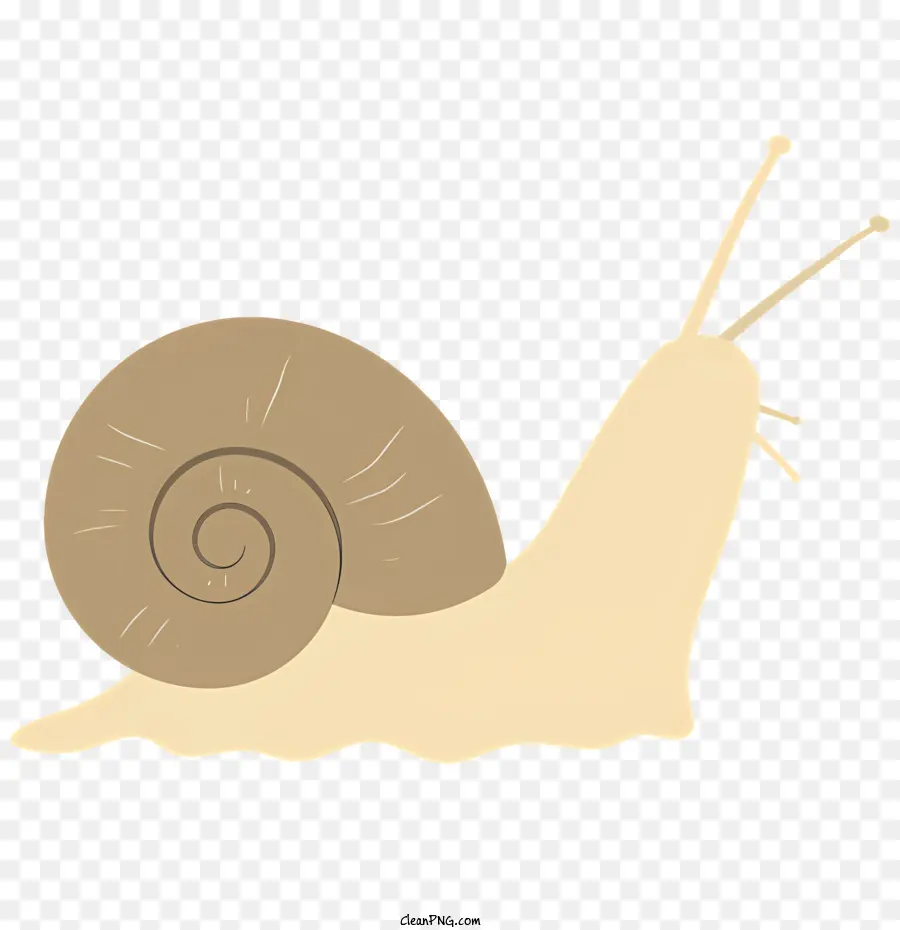 Caracol，Crawl PNG