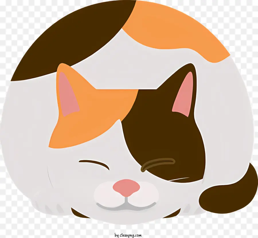 Dormir Gato，Forma Redonda PNG