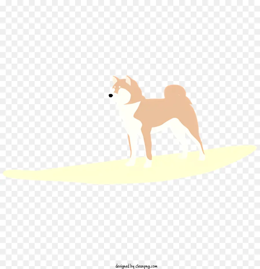 Cachorro Na Praia，Cachorro Em Pé PNG