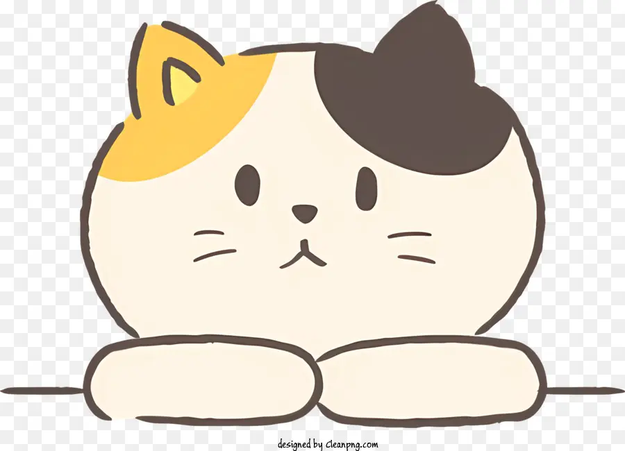 Gato，Fofo PNG