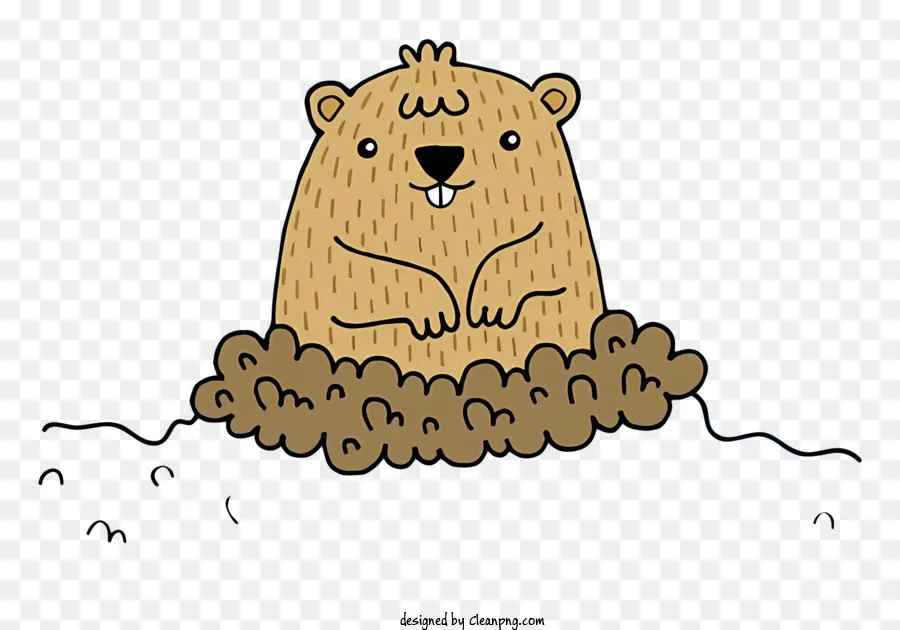 Marmota De Desenho Animado，Marmota PNG