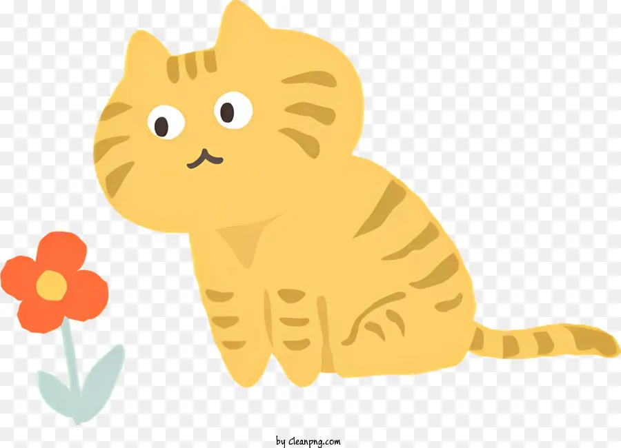 Gato，Gatinho PNG