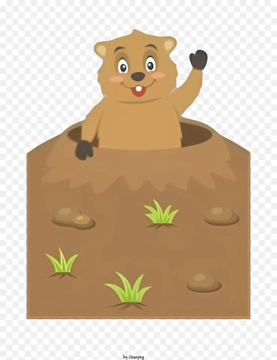 Urso Bonito，Desenho Animado Do Urso PNG