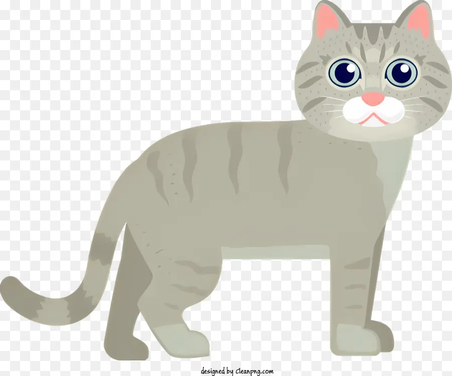 Gato Cinzento，Olhos Azuis PNG