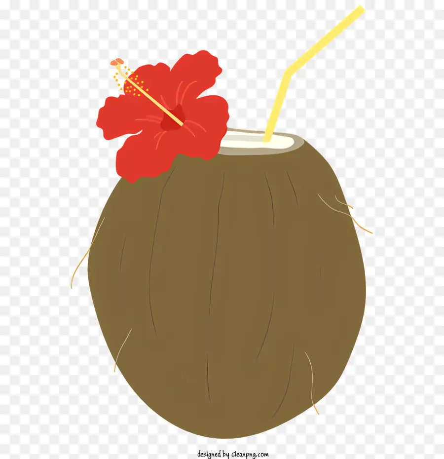 Coco，Flor Vermelha PNG