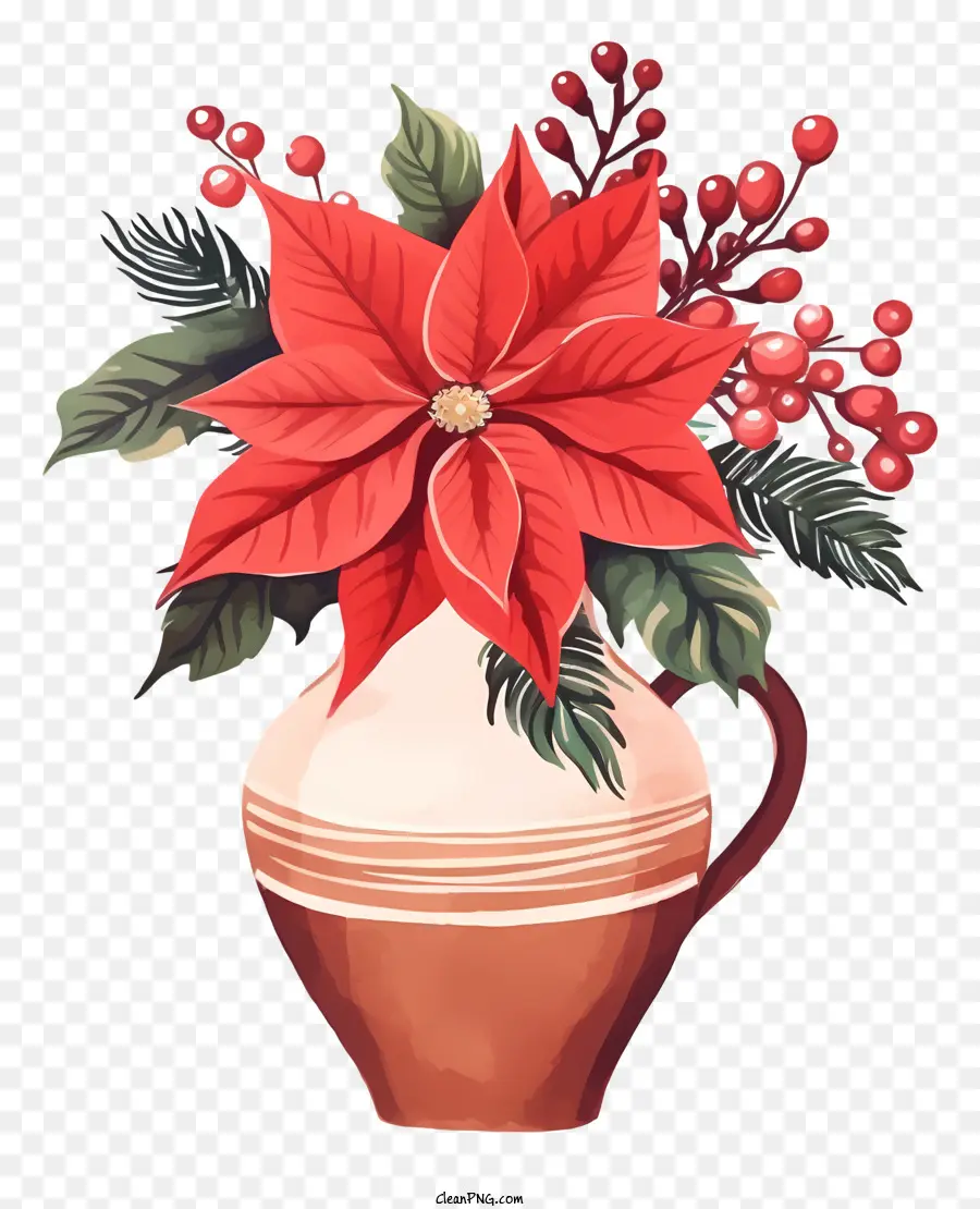 Poinsettias，Holly PNG