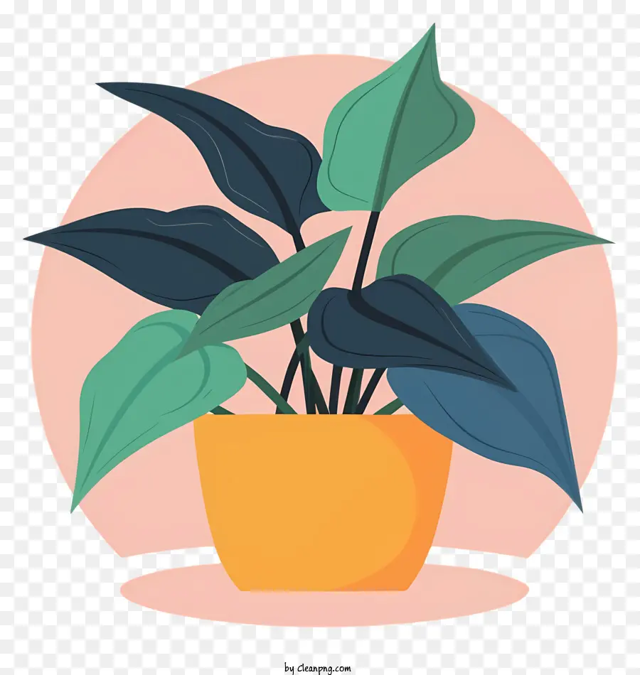 Cartoon，Planta De Vaso PNG