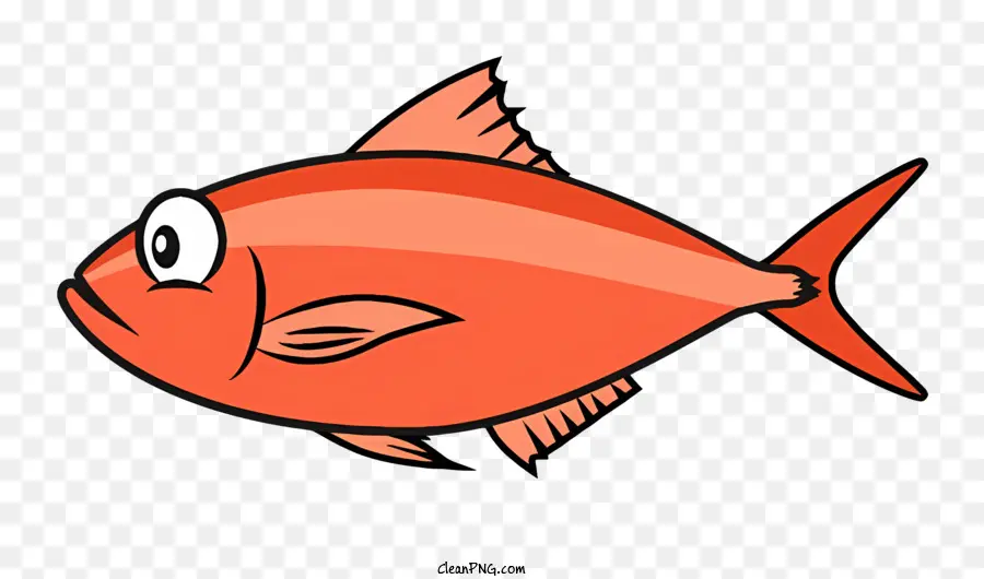 Peixe Vermelho，Corpo Longo E Fino PNG
