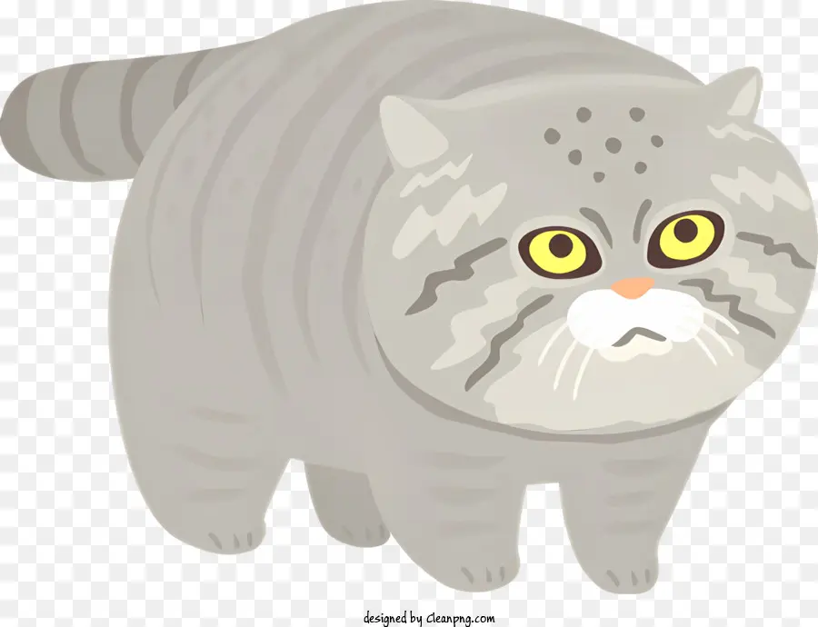 Gray Cat，Olhos Grandes PNG