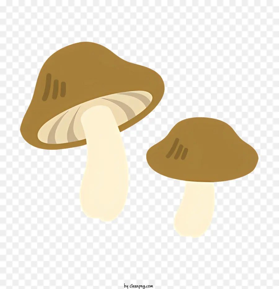 Cogumelos，Fungos PNG