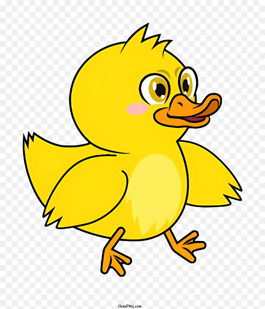 Pato De Desenho Animado，Pato PNG