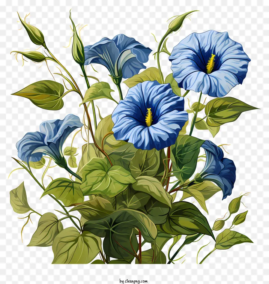 Flor Azul，Vaso PNG