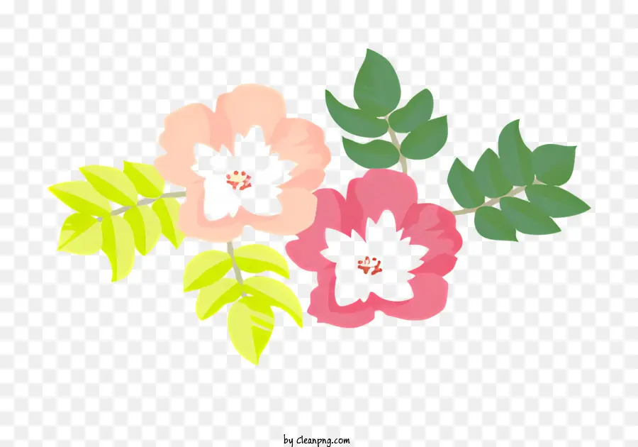 Flores Em Preto E Branco，Flores Rosa E Verde PNG