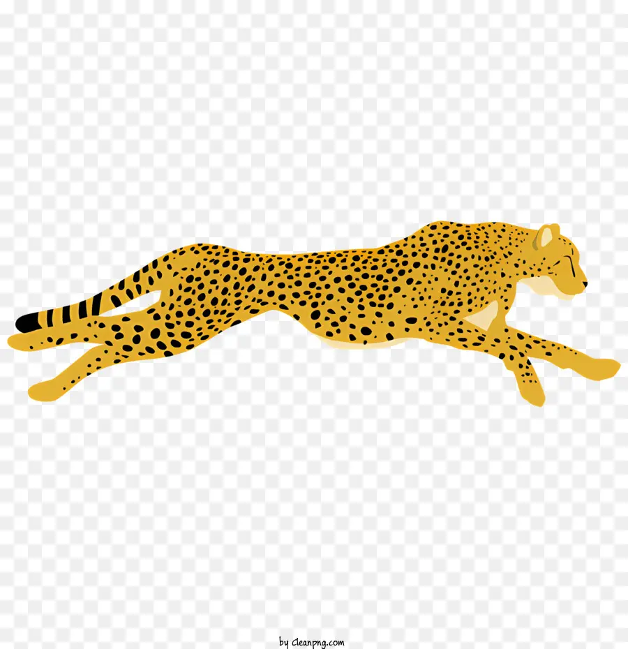 Cheetah，Selvagem PNG