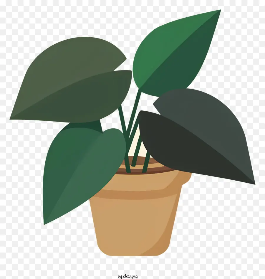Um Vaso De Planta，Planta Verde PNG