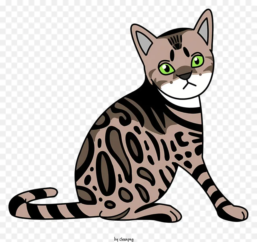 Gato，Expressão Curiosa PNG