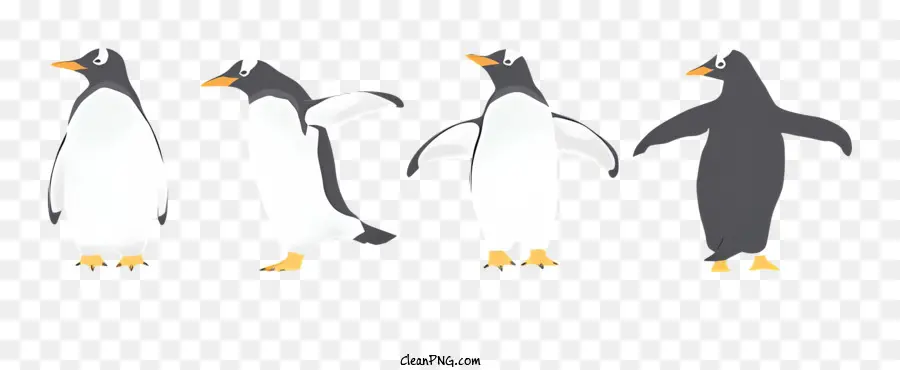 Pinguins，Oeste PNG