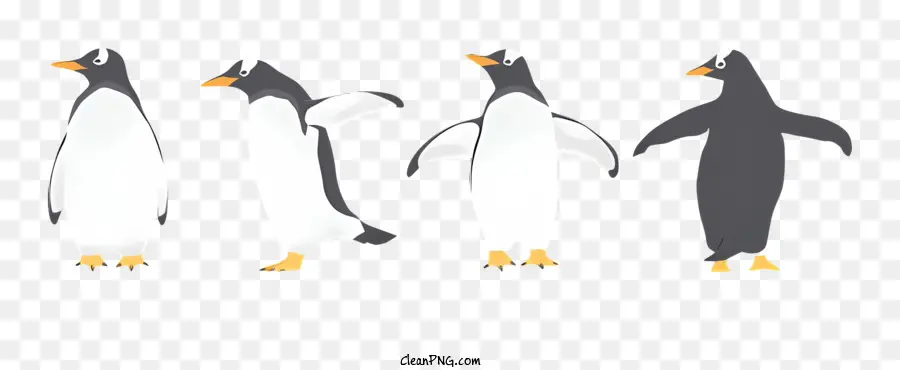 Pinguins，Gelo PNG