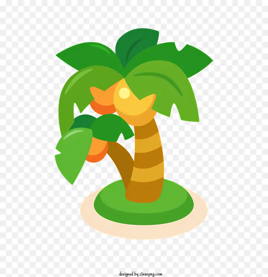Palmeira，Coco PNG