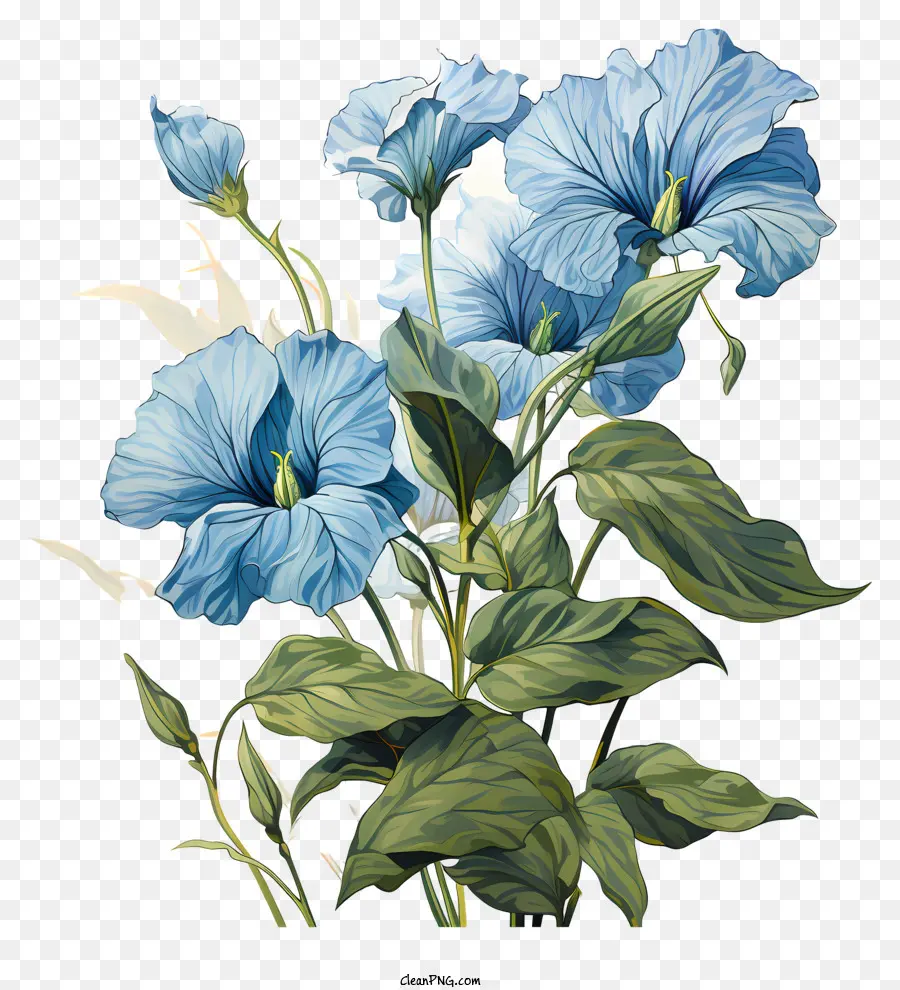 Flores Azuis，Flores Estilizadas PNG