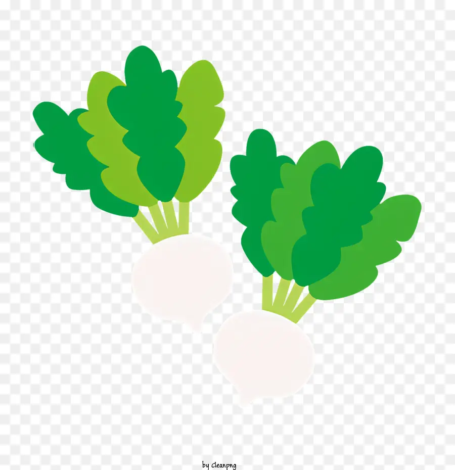 Nabos，Legumes PNG