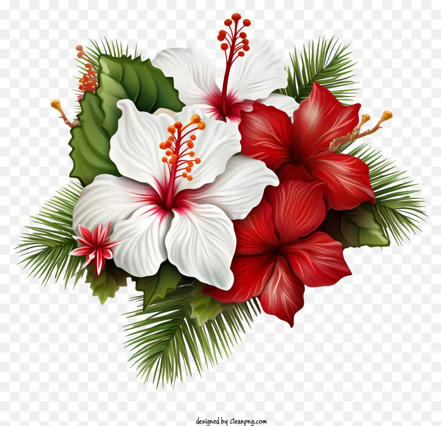 Elementos De Natal，Flor De Hibisco PNG