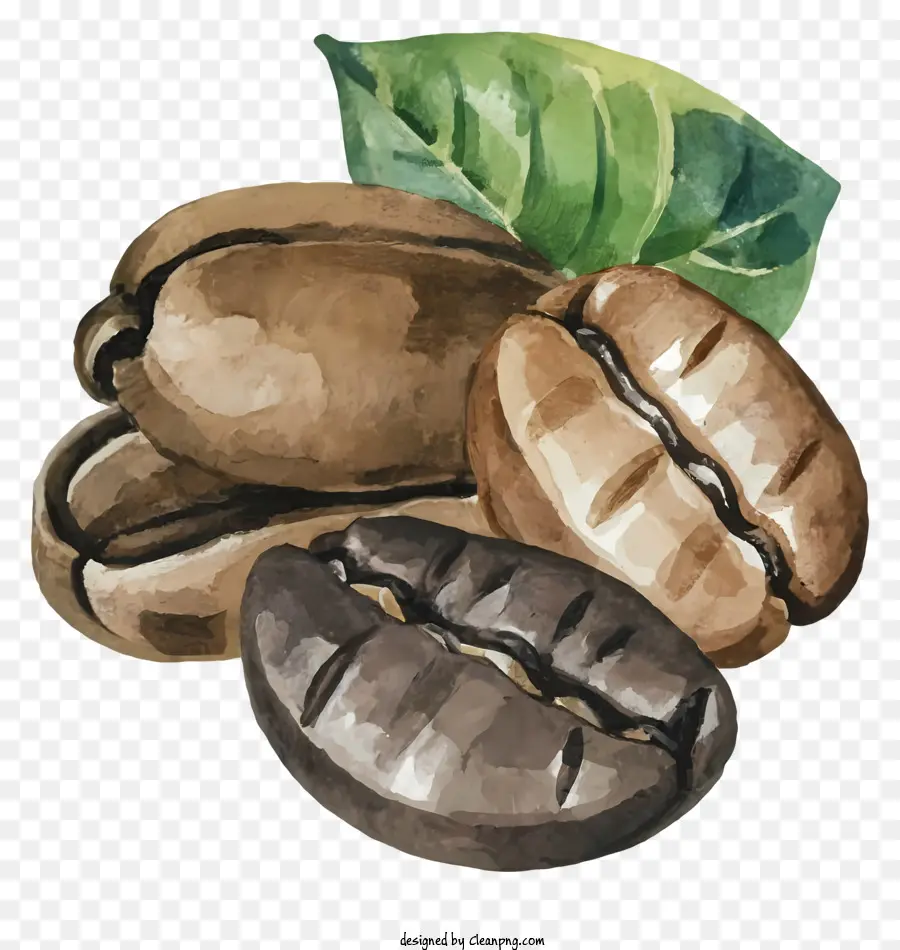 Desenho Animado，Grãos De Café PNG