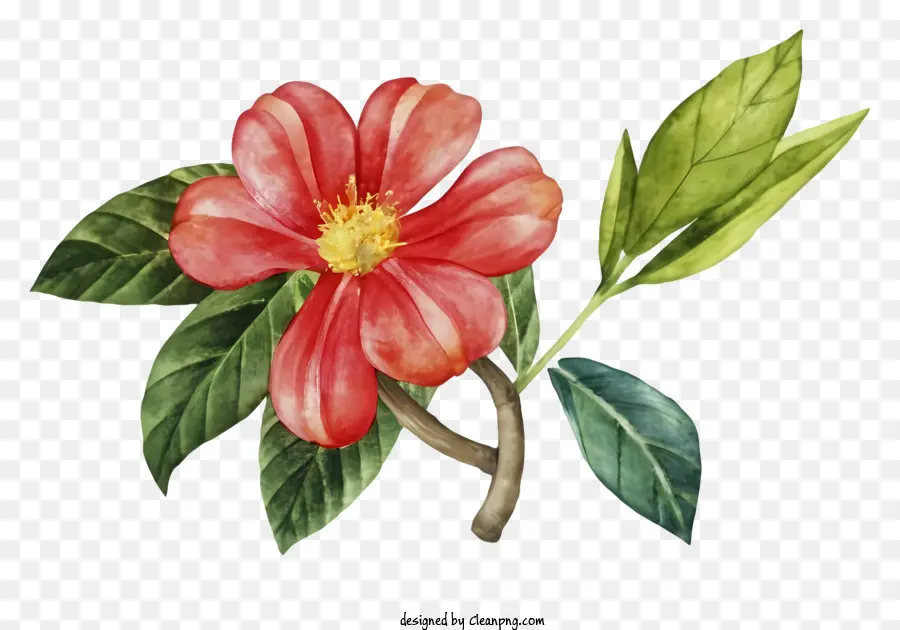 Desenho Animado，Flor Vermelha PNG