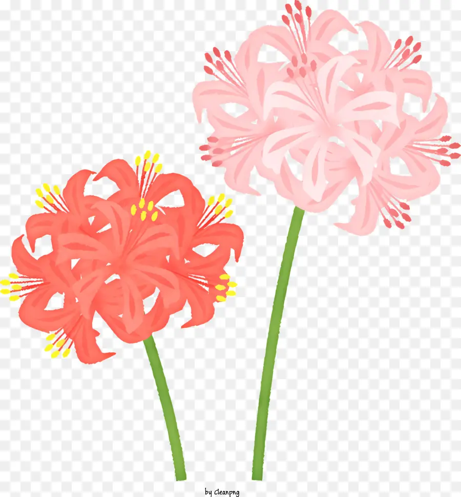 Desenho Animado，Flores Vermelhas E Rosa PNG