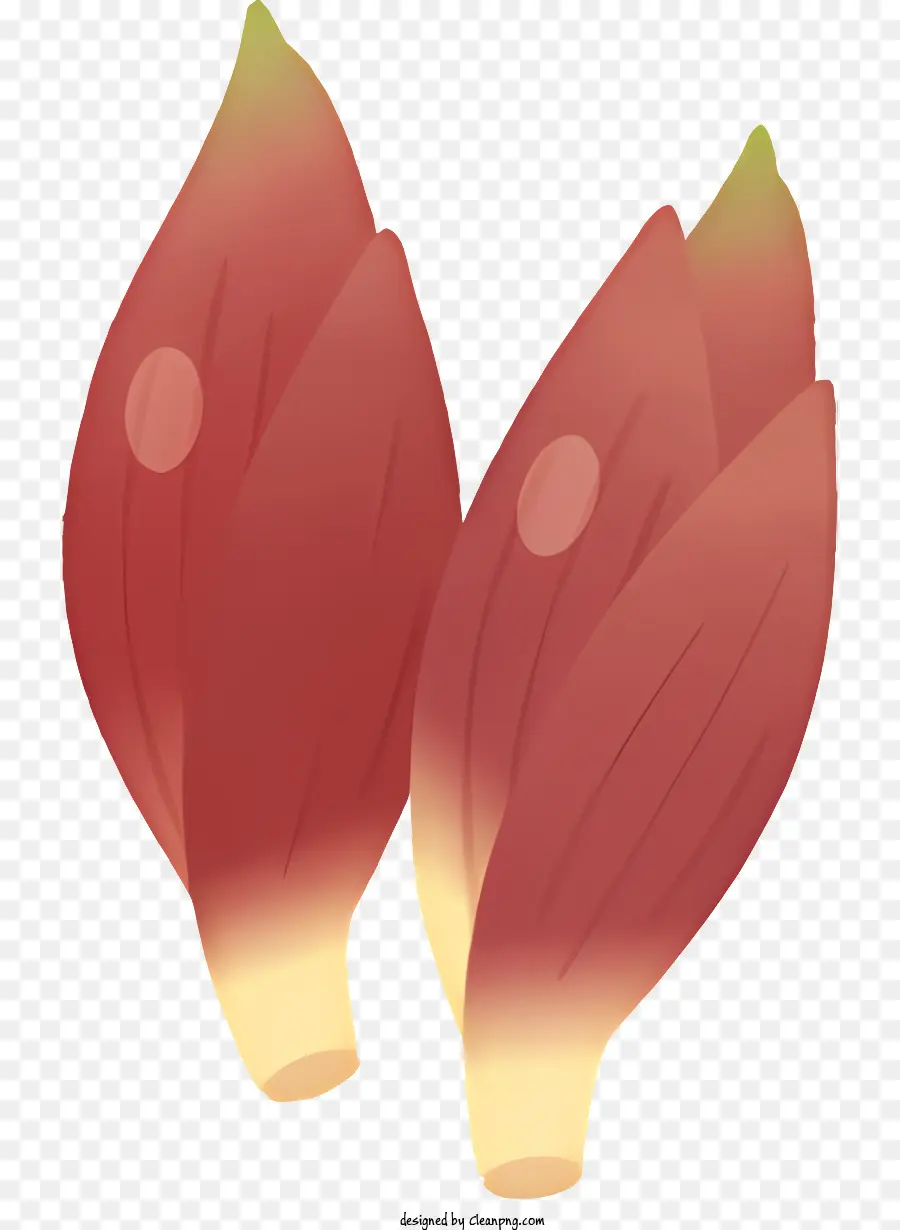 Cartoon，Flores Vermelhas PNG