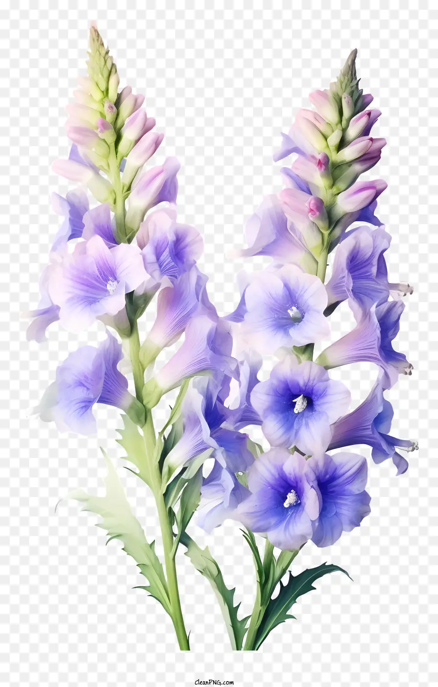 Flor Da Aquarela Delphinium，Flores Roxas PNG