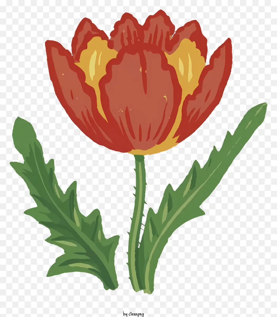 Cartoon，Tulipa Vermelha PNG