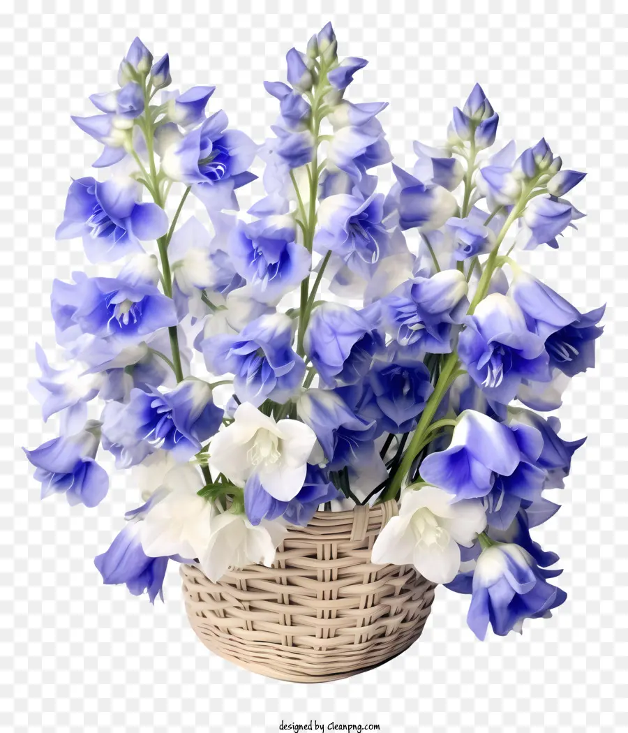 Cesta De Delinada Flor De Delphinium，Cesta De Vime PNG