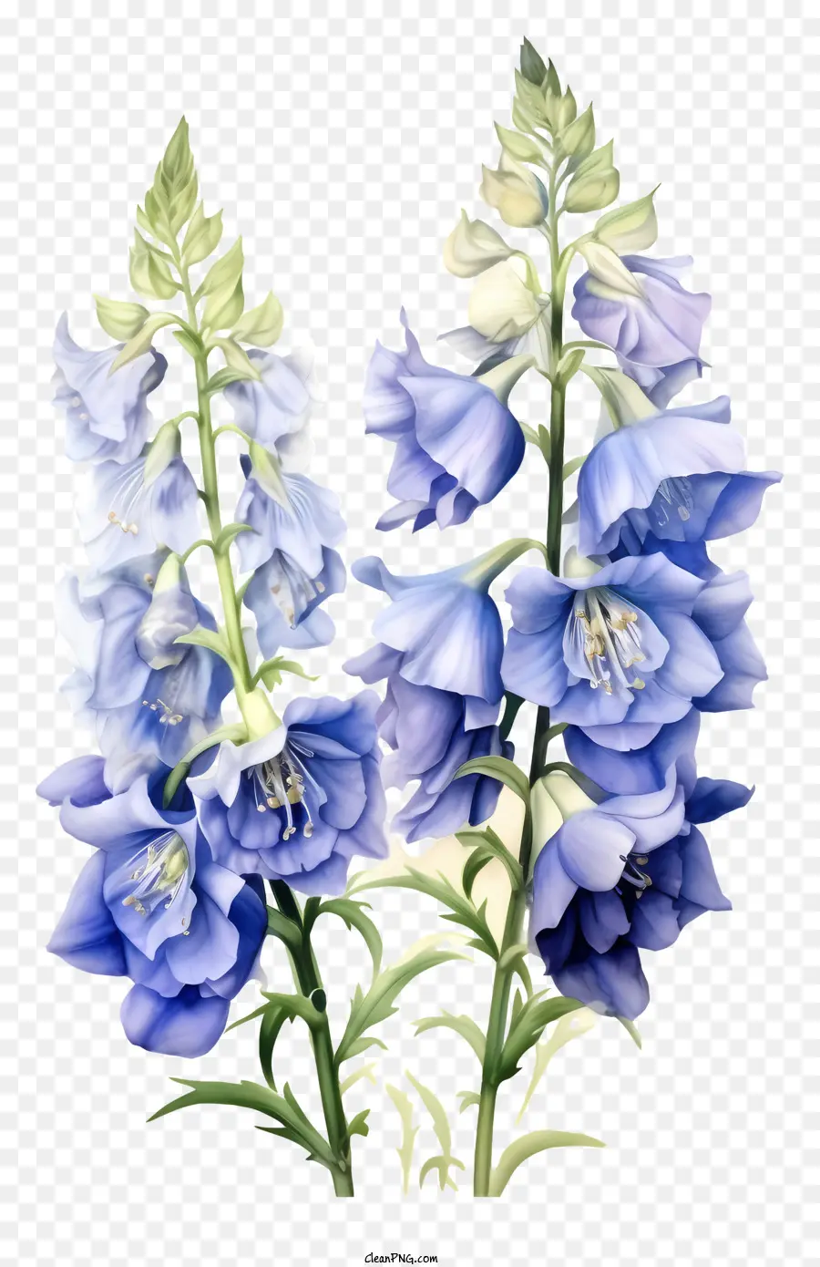 Flor Elegante De Delphinium，Flor Azul PNG