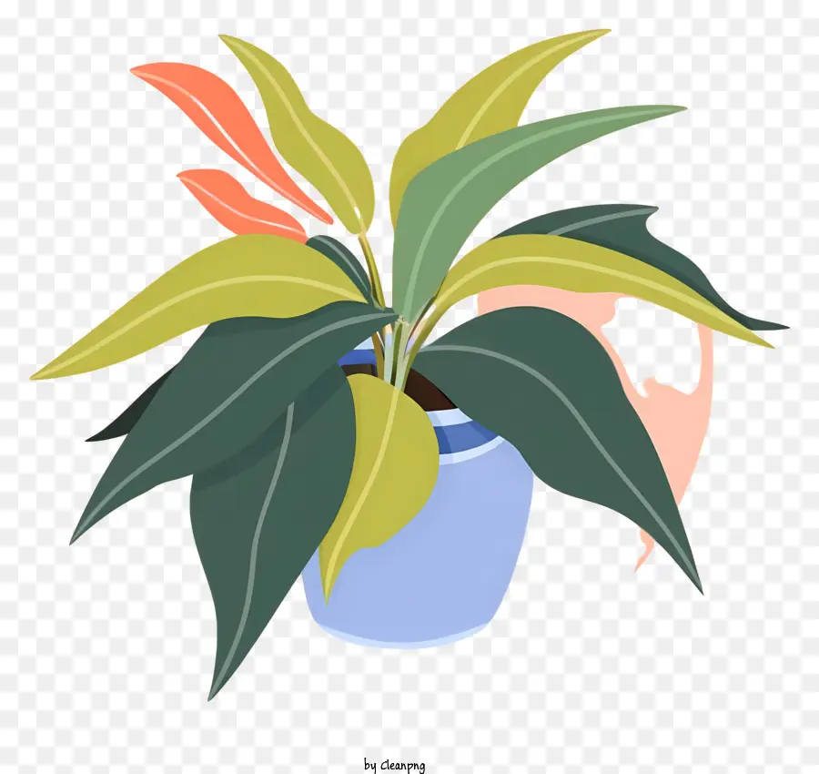 Cartoon，Planta De Vaso PNG