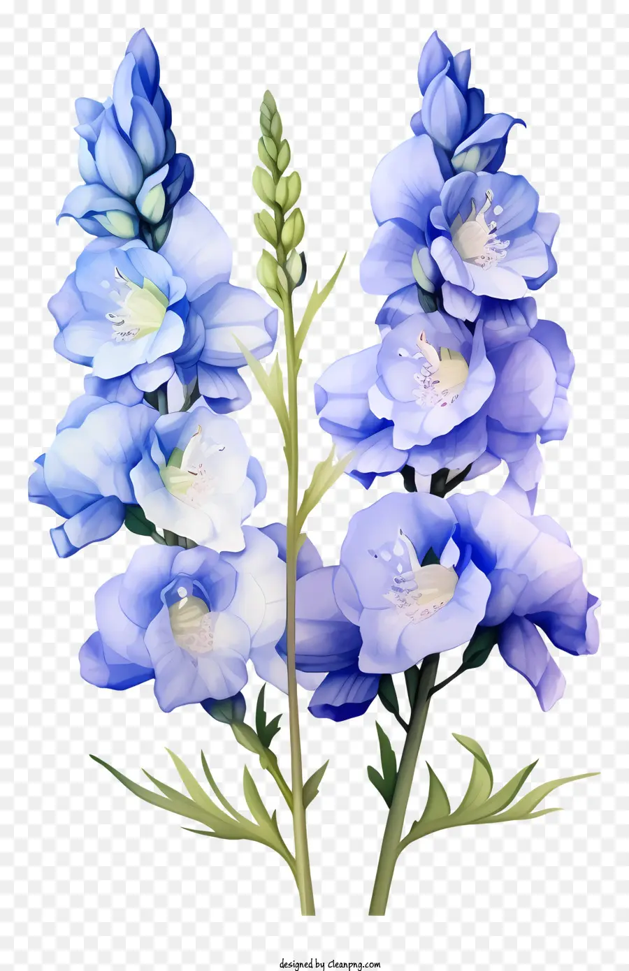 Flor Plana De Delphinium，Buquet De íris Azul PNG