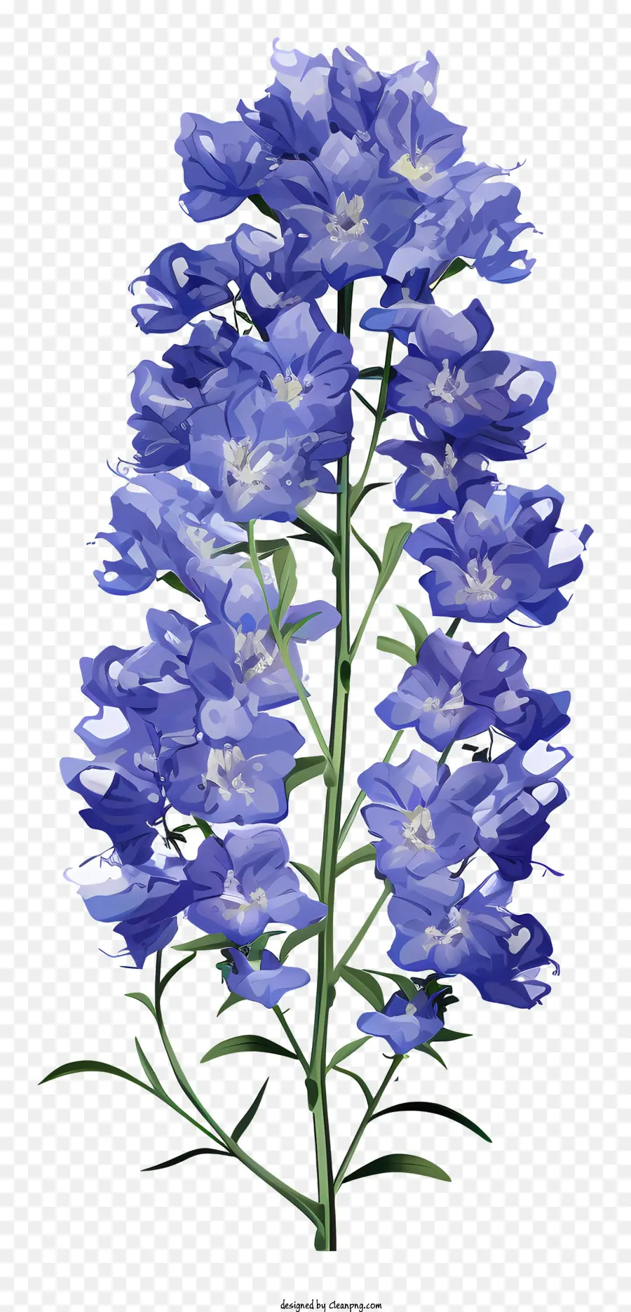Bunco De Flor Delphinium，Flor De Bluebell PNG