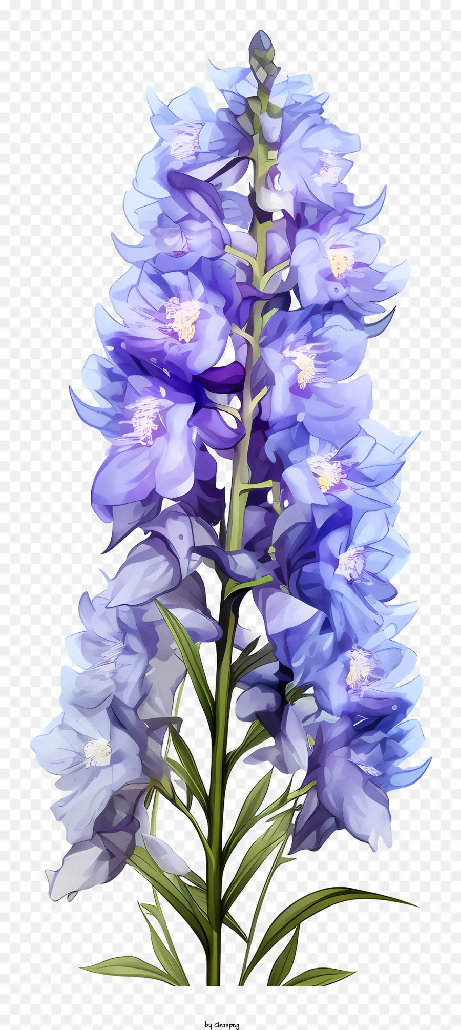 Doodle Delphinium Flower，Azul Hortênsia PNG
