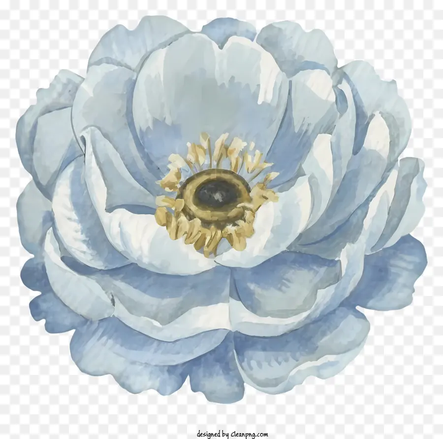 Flor Elegante De Delphinium，Flor Branca PNG