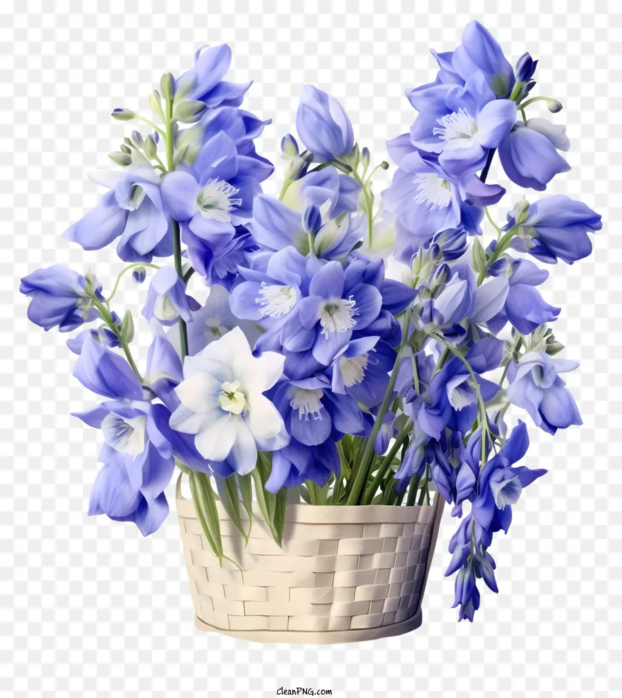 Cesta De Delinada Flor De Delphinium，Azul E Branco Flores PNG