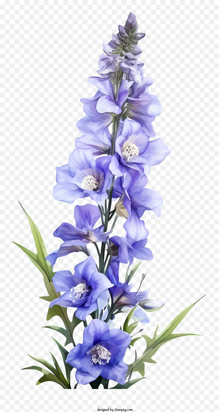 Doodle Delphinium Flower，Flor Azul PNG